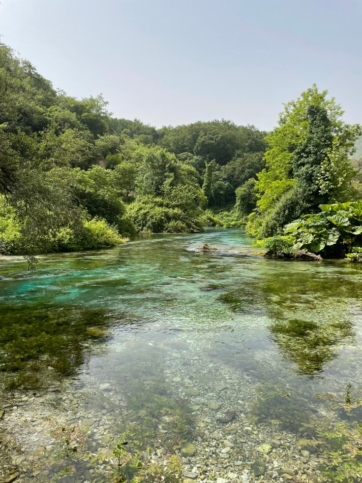 Turquoise spring water surrounded by dense green forest at the Blue Eye natural attraction in Albania.
