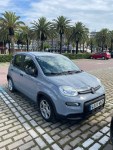 Grey rental car parked among palm trees on a street in coastal Spain under cloudy skies